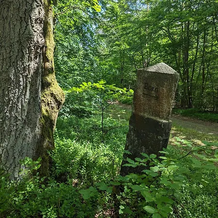 דירה Krischan בורן